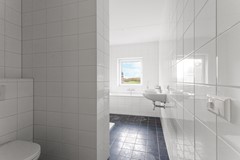 26-Moerasorchidee 29 - Lelystad.JPG